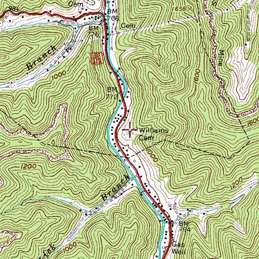 Topographic Map of Williams Cemetery, WV