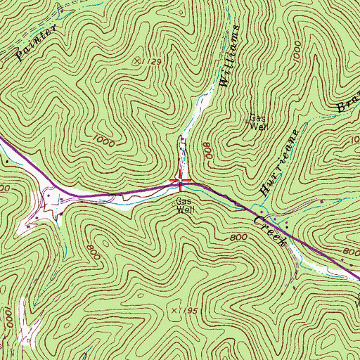 Topographic Map of Williams Fork, WV