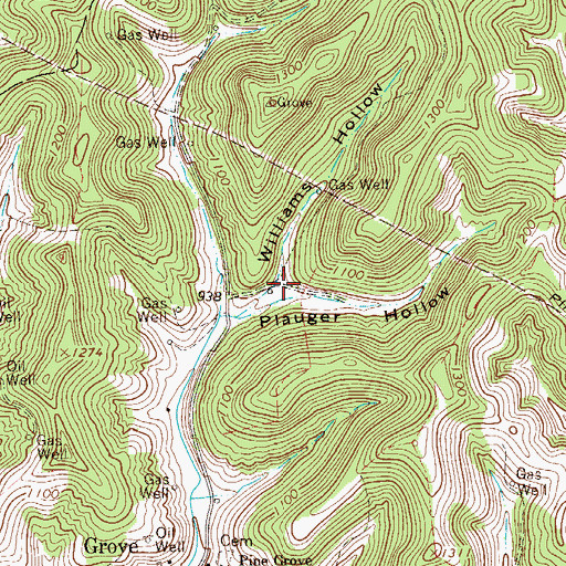 Topographic Map of Williams Hollow, WV