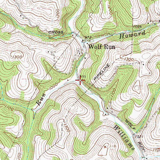 Topographic Map of Williams Run, WV