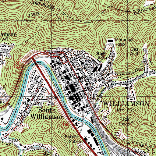 Topographic Map of Williamson, WV