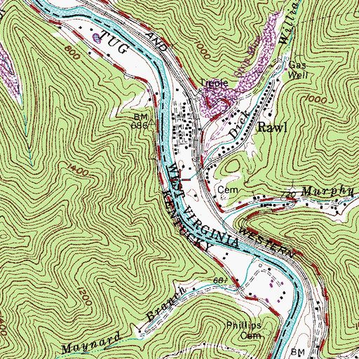 Topographic Map of Williamson Branch, WV