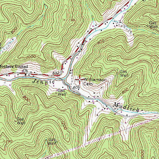 Topographic Map of Williamson Cemetery, WV