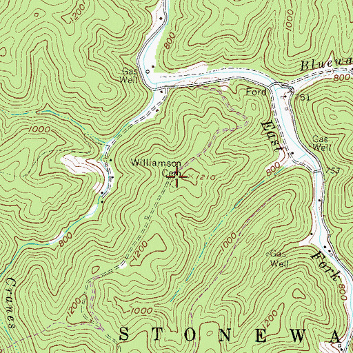 Topographic Map of Williamson Cemetery, WV