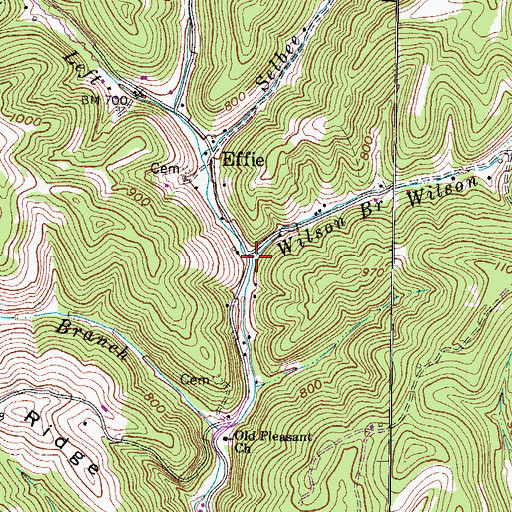 Topographic Map of Wilson Branch, WV