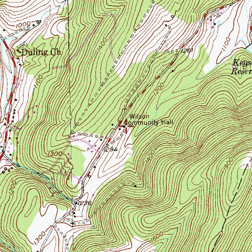 Topographic Map of Wilson Community Hall, WV