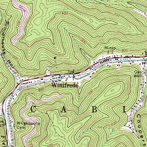 Topographic Map of Winifrede, WV