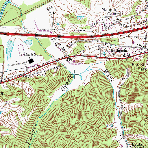 Topographic Map of Wire Branch, WV