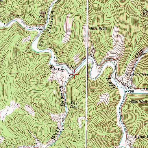 Topographic Map of Wolf Branch, WV