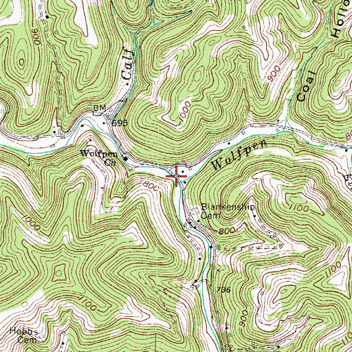Topographic Map of Wolfpen Branch, WV