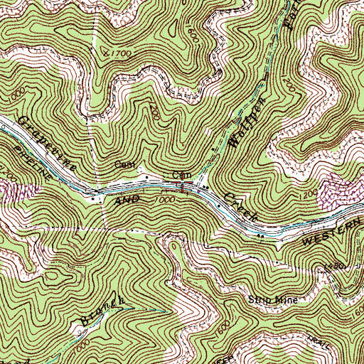 Topographic Map of Wolfpen Fork, WV