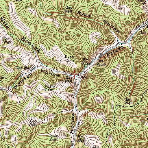 Topographic Map of Wolfden Hollow, WV