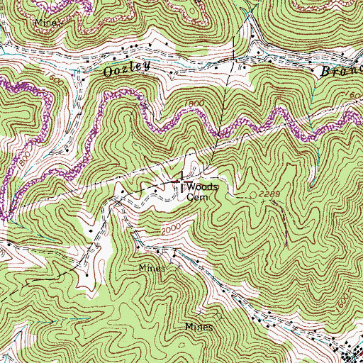 Topographic Map of Woods Cemetery, WV