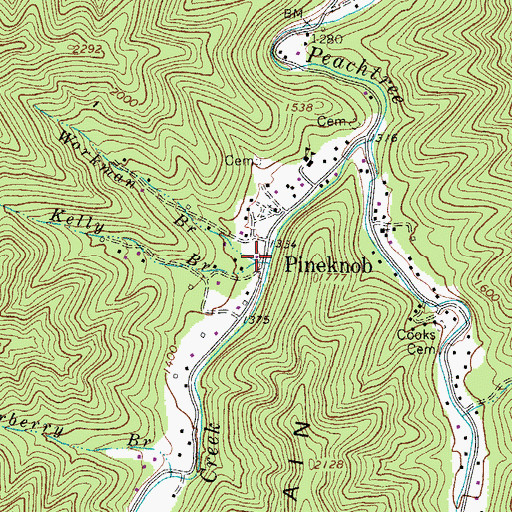 Topographic Map of Workman Branch, WV
