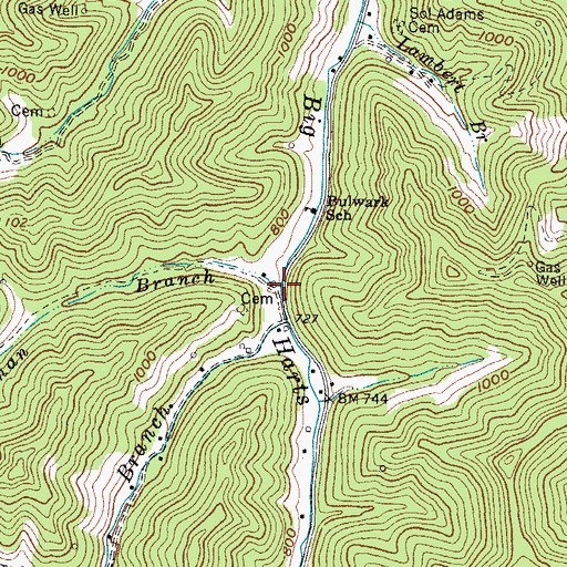 Topographic Map of Workman Branch, WV