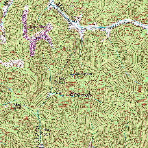 Topographic Map of Workman Cemetery, WV