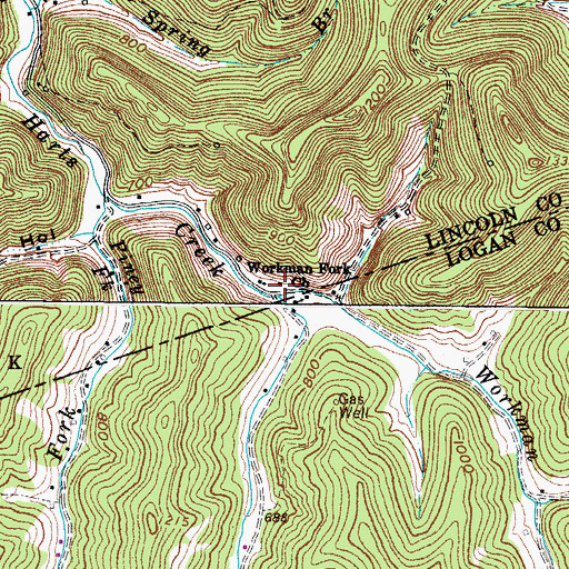 Topographic Map of Workman Fork, WV