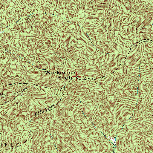 Topographic Map of Workman Knob, WV