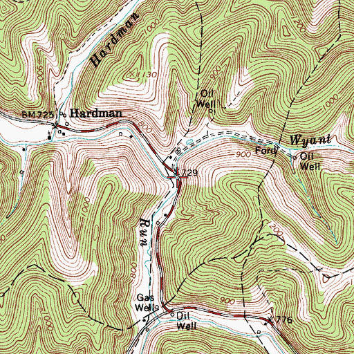 Topographic Map of Wyant Fork, WV