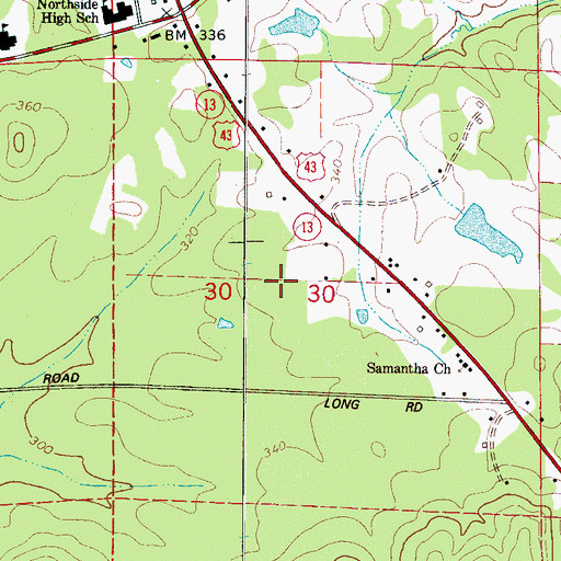 Topographic Map of Northside Gas Field, AL