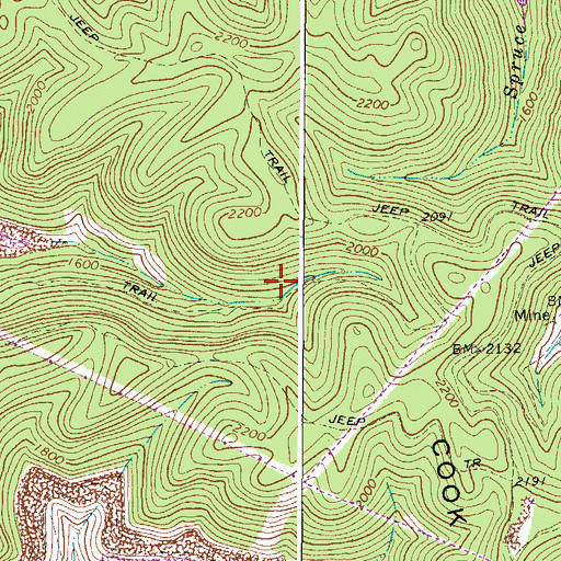 Topographic Map of Trace Fork, WV
