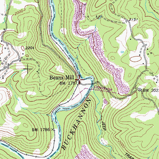 Topographic Map of Beans Mill, WV