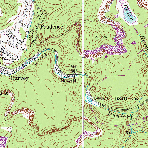 Topographic Map of Dewitt, WV