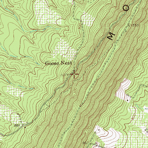 Topographic Map of Goose Nest, WV