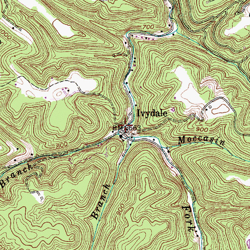Topographic Map of Ivydale, WV