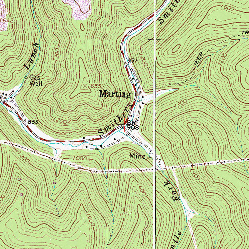 Topographic Map of Marting, WV