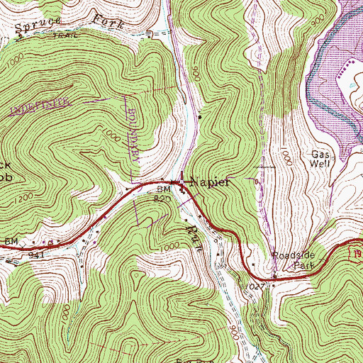 Topographic Map of Napier, WV