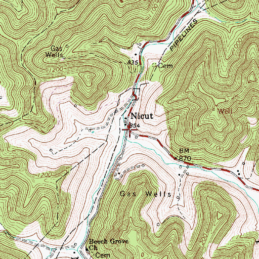 Topographic Map of Nicut, WV
