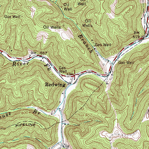 Topographic Map of Redwing, WV