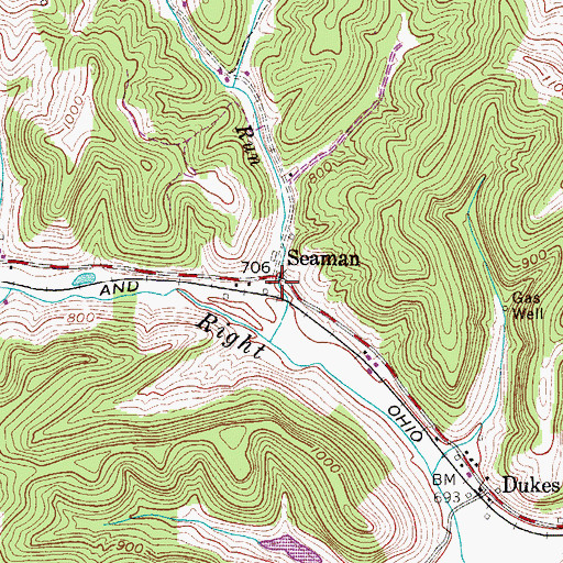 Topographic Map of Seaman, WV