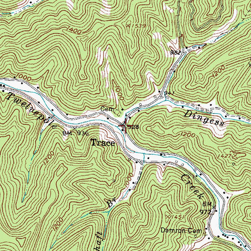 Topographic Map of Trace, WV