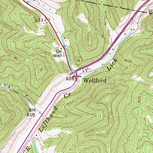 Topographic Map of Wellford, WV