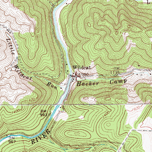 Topographic Map of Wildcat, WV