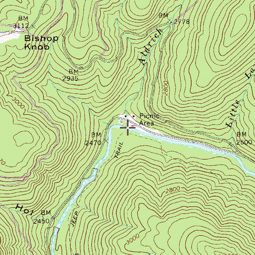 Topographic Map of Aldrich Branch, WV