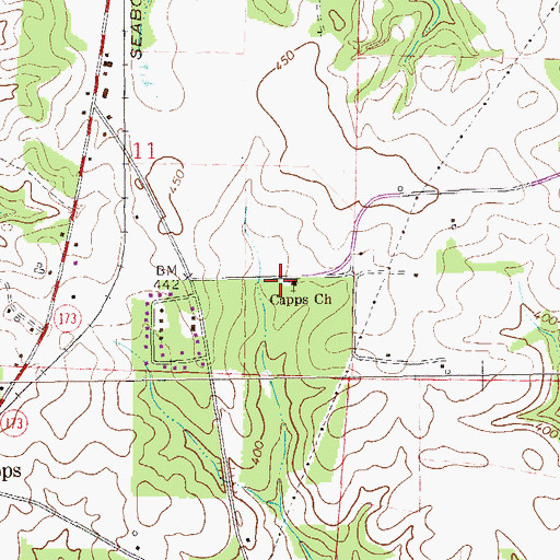 Topographic Map of Capps Church, AL