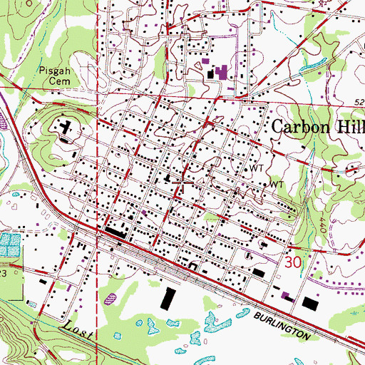 Topographic Map of Carbon Hill, AL