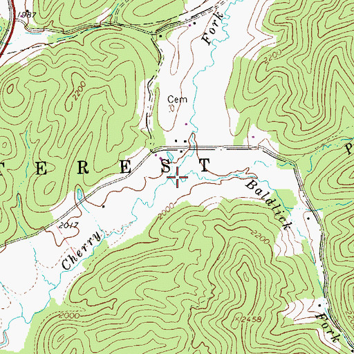 Topographic Map of Baldlick Fork, WV