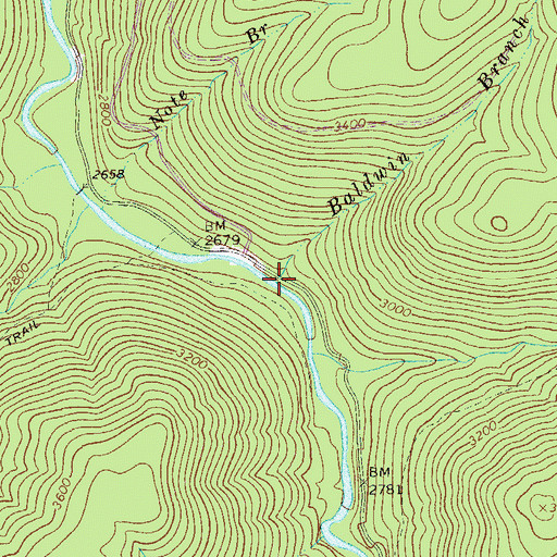 Topographic Map of Baldwin Branch, WV