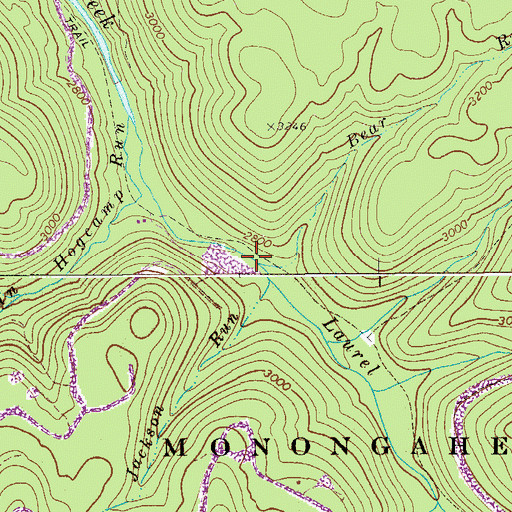 Topographic Map of Bear Run, WV