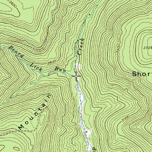 Topographic Map of Beard Lick Run, WV