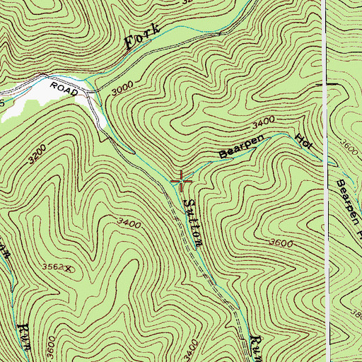 Topographic Map of Bearpen Hollow, WV