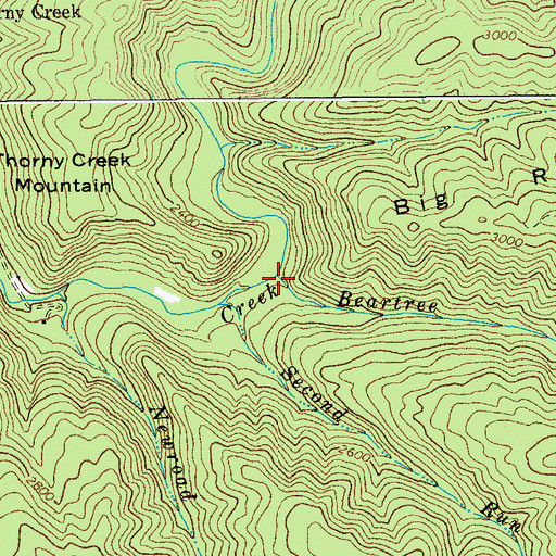 Topographic Map of Beartree Run, WV