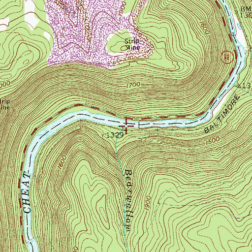 Topographic Map of Bearwallow Run, WV