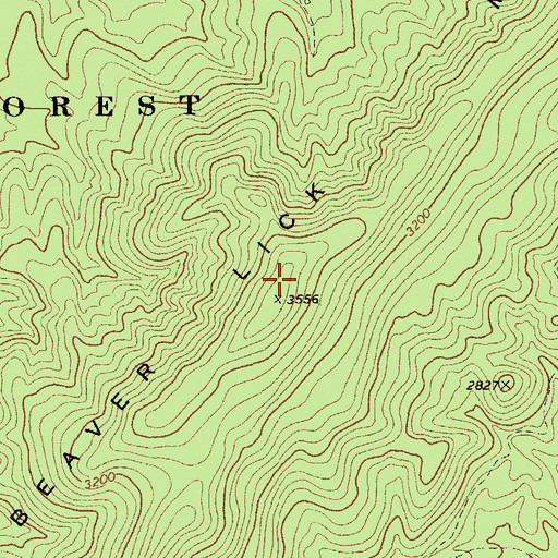 Topographic Map of Beaver Lick Mountain, WV
