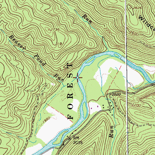 Topographic Map of Beaver Pond Run, WV
