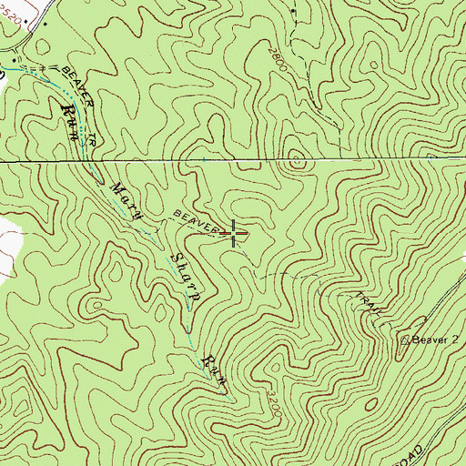 Topographic Map of Beaver Trail, WV